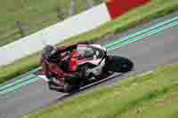 Advanced Group Red Bikes